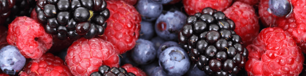 summer-fruit-salad