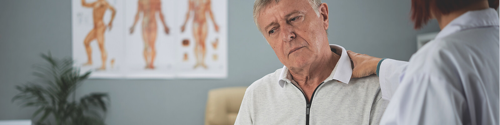 What is the prostate gland? | Understanding Prostate Health 