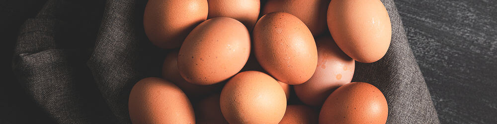 eggs prostate
