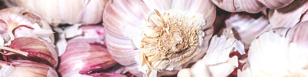 10 Surprising Health Benefits of Garlic - Ben's Natural Health