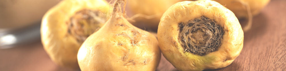 maca-extract