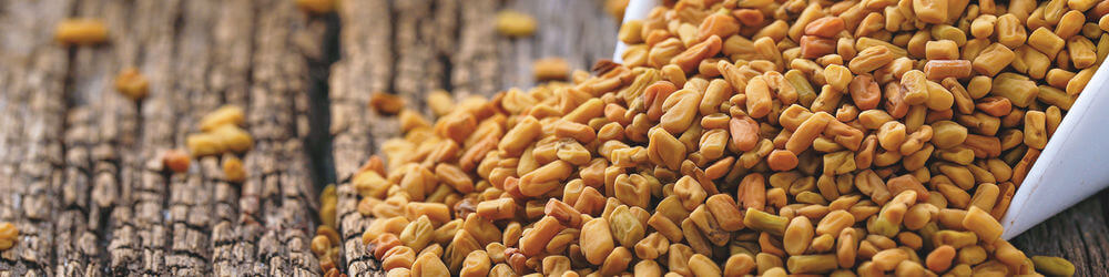 fenugreek-diabetes
