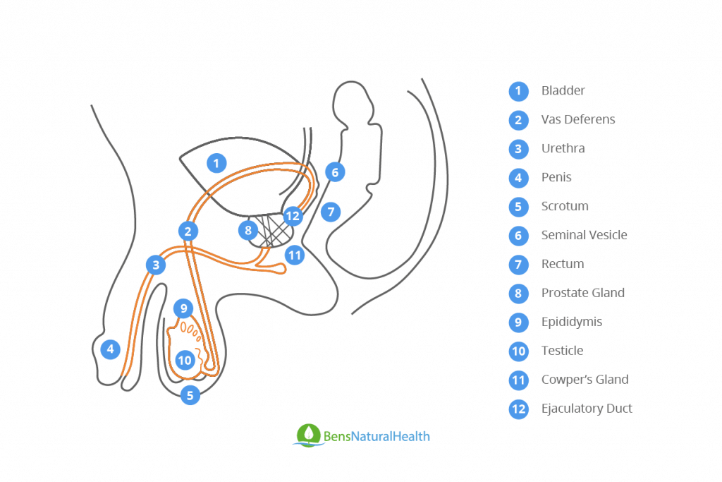 Anal pain after ejaculation