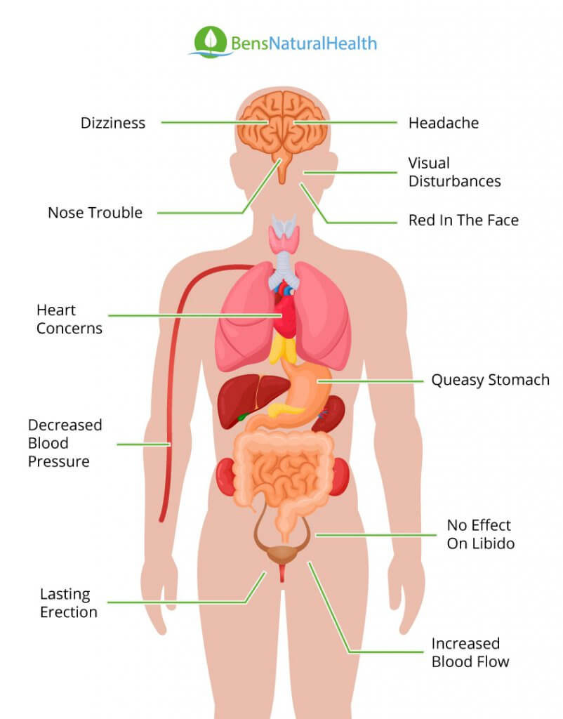 effects of viagra on the body