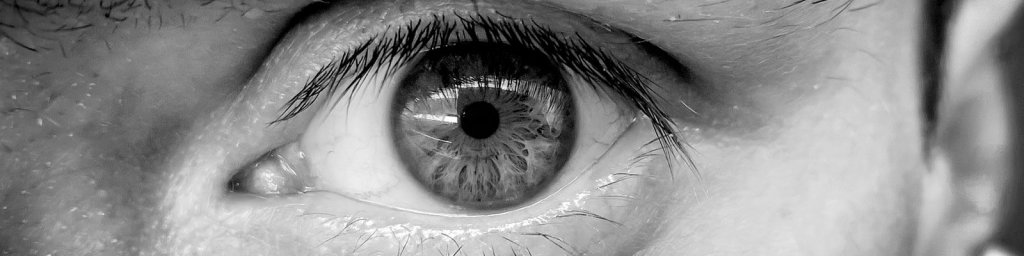 diabetic eye disease
