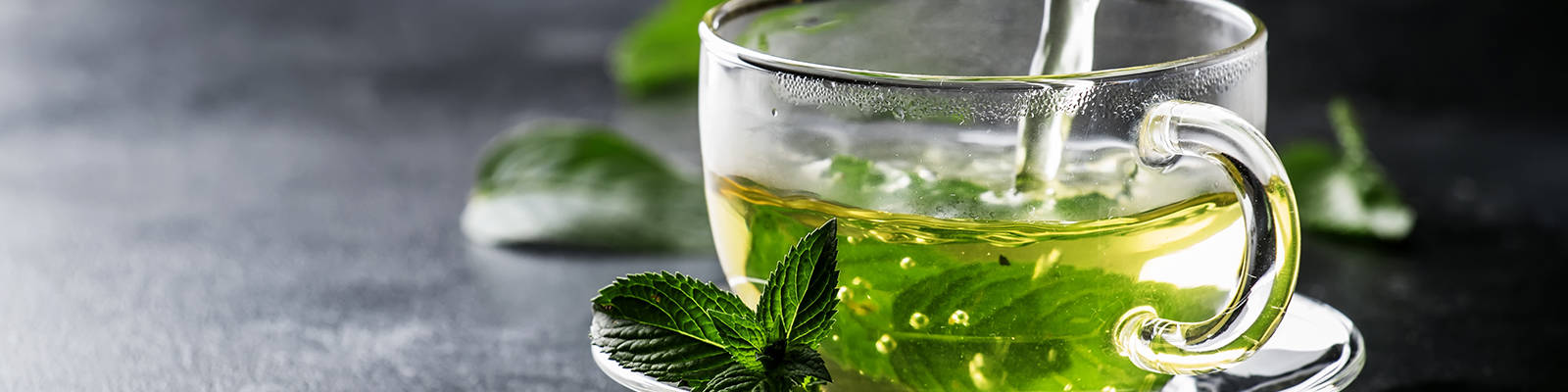 Can Green Tea Cure BPH Green Tea Benefits Ben s Natural Health