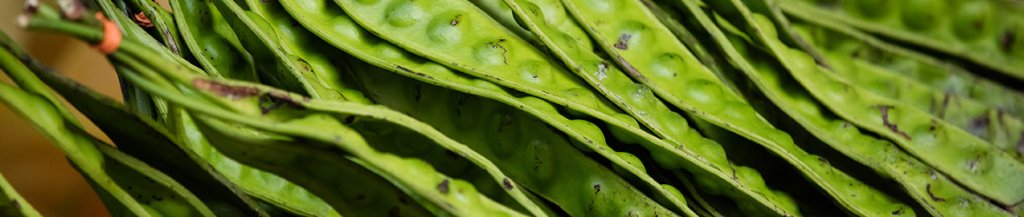 beta sitosterol foods