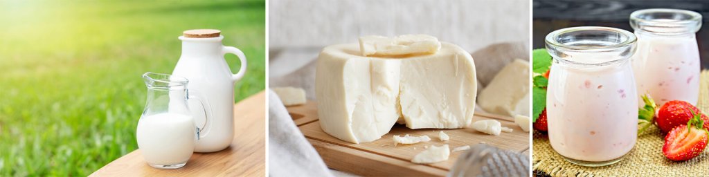 calcium rich foods
