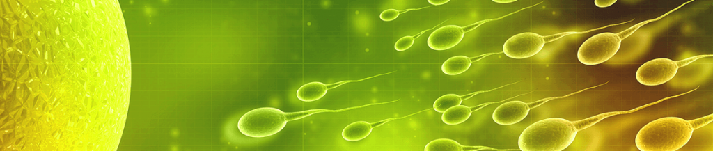 why is my semen yellow