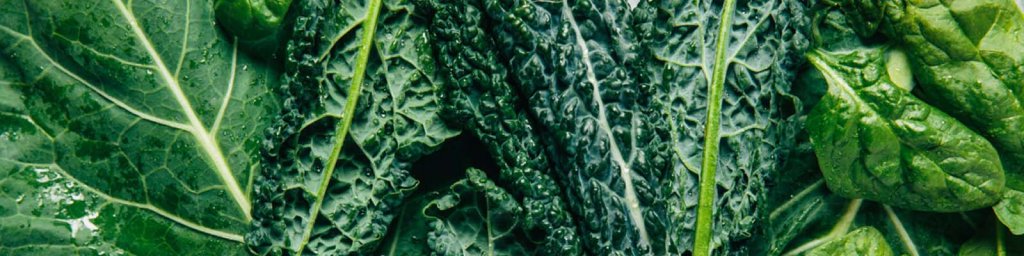 superfoods
