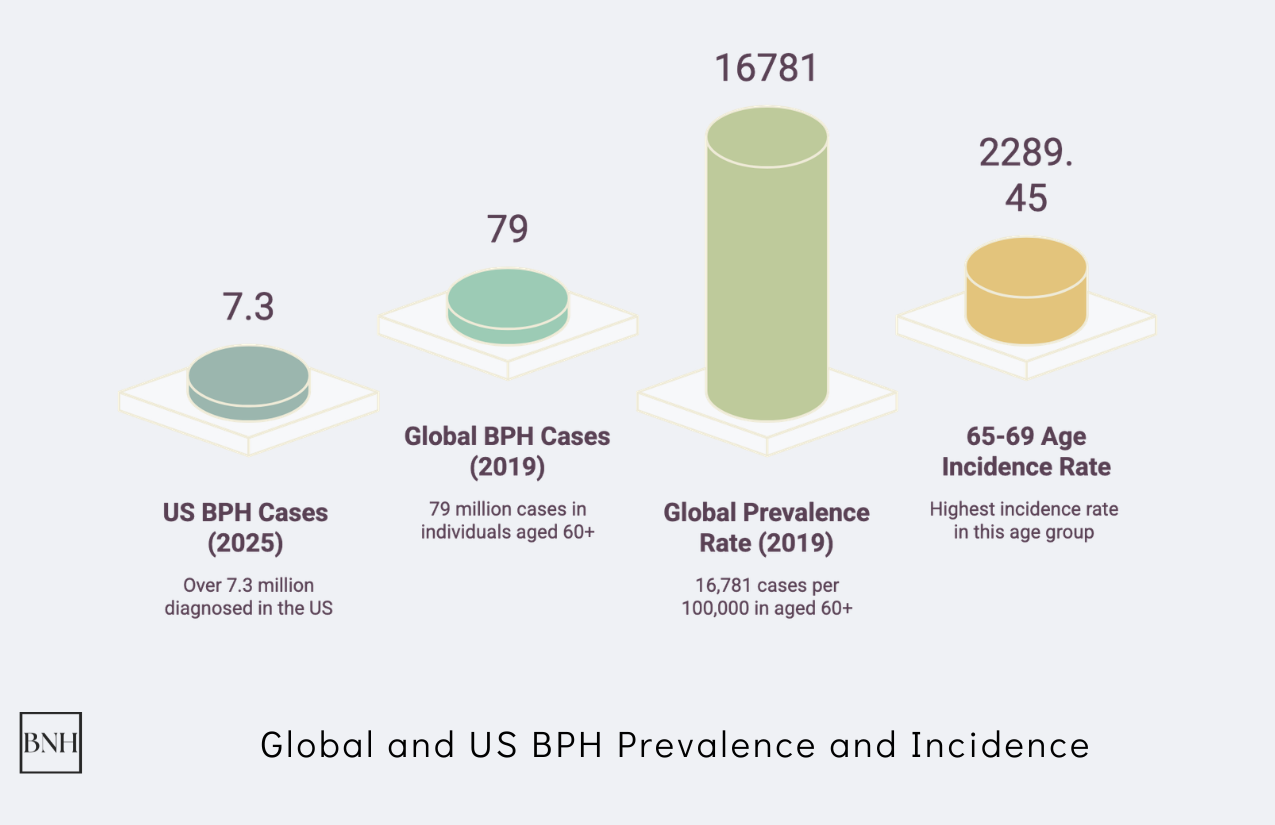 BPH Statistics: Key Facts and Insights in 2026
