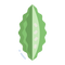 Bitter Melon
