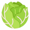 Cabbage