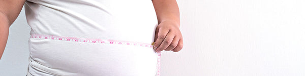Obesity and Type 2 Diabetes: What’s The Link?