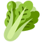 Spinach
