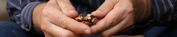Doctor Answers: Can Beta Sitosterol Cause Erectile Dysfunction?