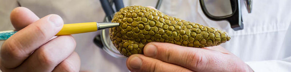 Can You Live Without a Pancreas?