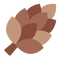 Pine Nuts