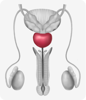 Hormones