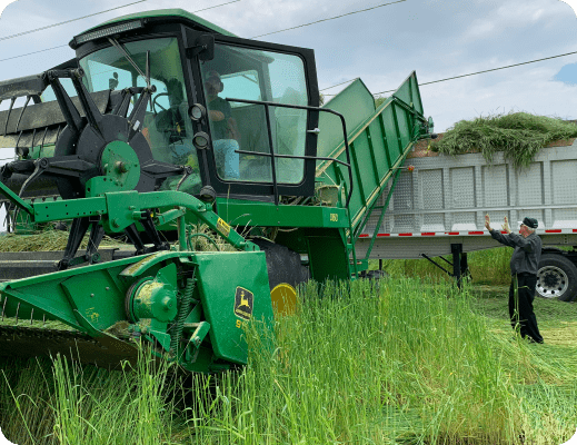 Ingredient harvesting