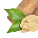 Tongkat Ali Root Extract