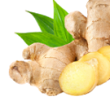 Ginger Root