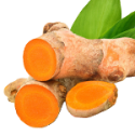 Turmeric Root