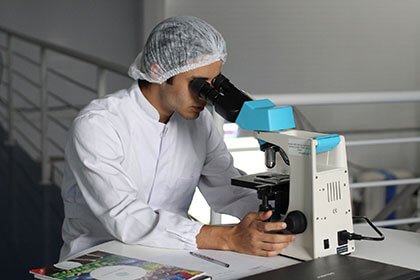 Quality Process Quality Process